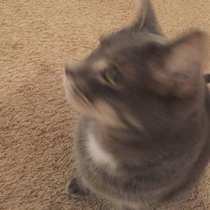 Meet your Posher, Monica